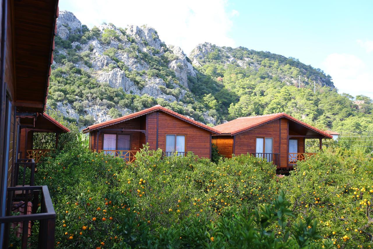 Bahce Villa Çıralı Exteriör bild